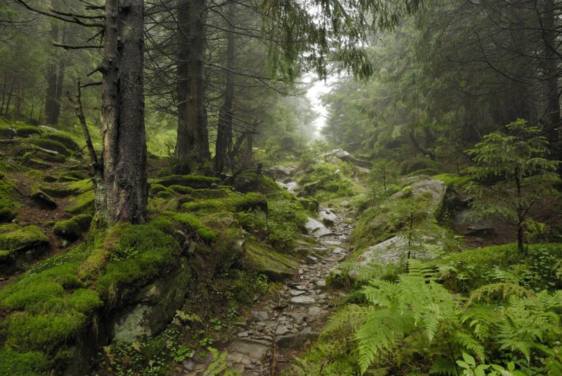 Natural park