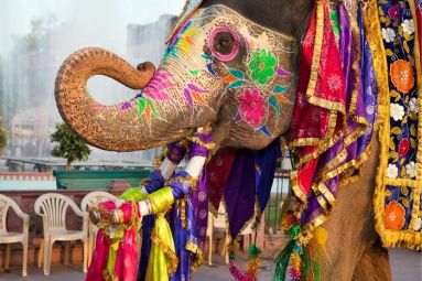 May 2017 Bollywood Style Kurazh Night Market in Kyiv