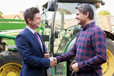 Hedging Risks in Ukrainian Agro Insurance