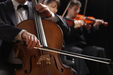Viennese Classics Concert in Kiev