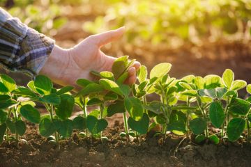 The Distinctive Characteristics of Austrian Agriculture
