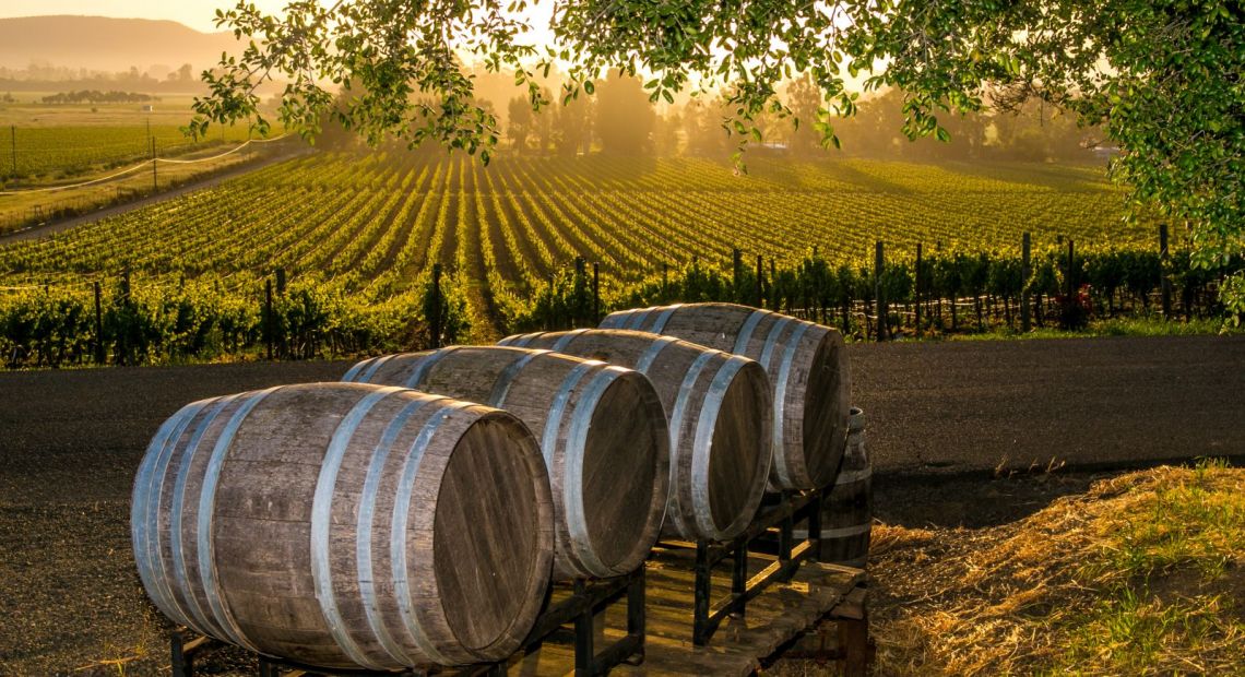Ukrainian Wineries Worth Visiting