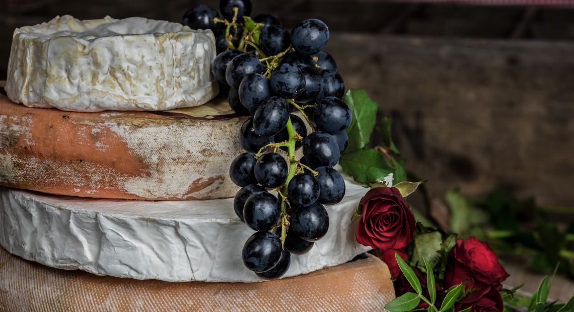 Best Ukrainian Cheese Brands