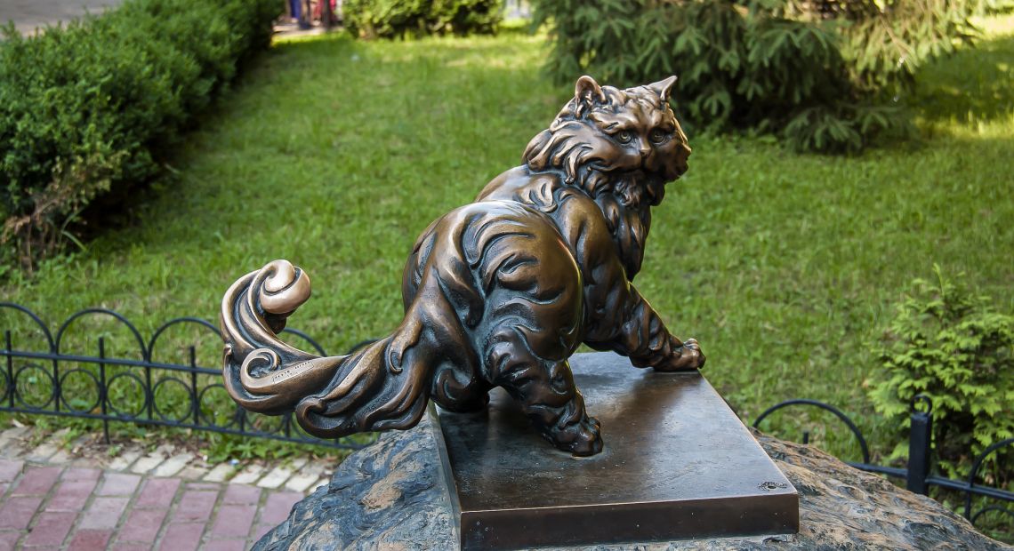 Panteleimon cat in Kyiv