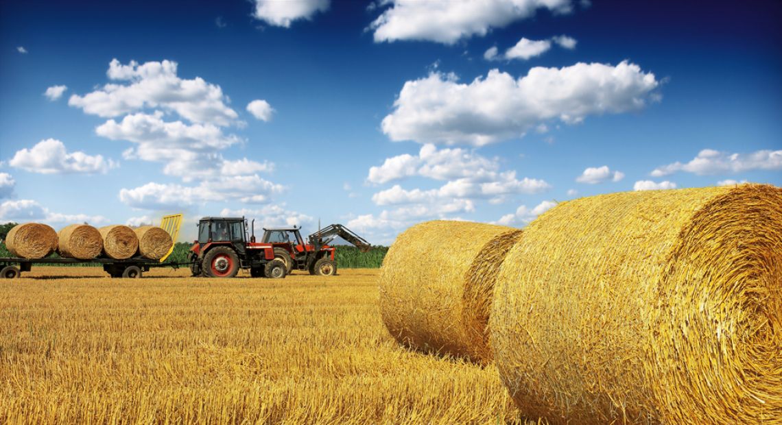 Syngenta Solutions: Expert Overview of Ukrainian Agriculture