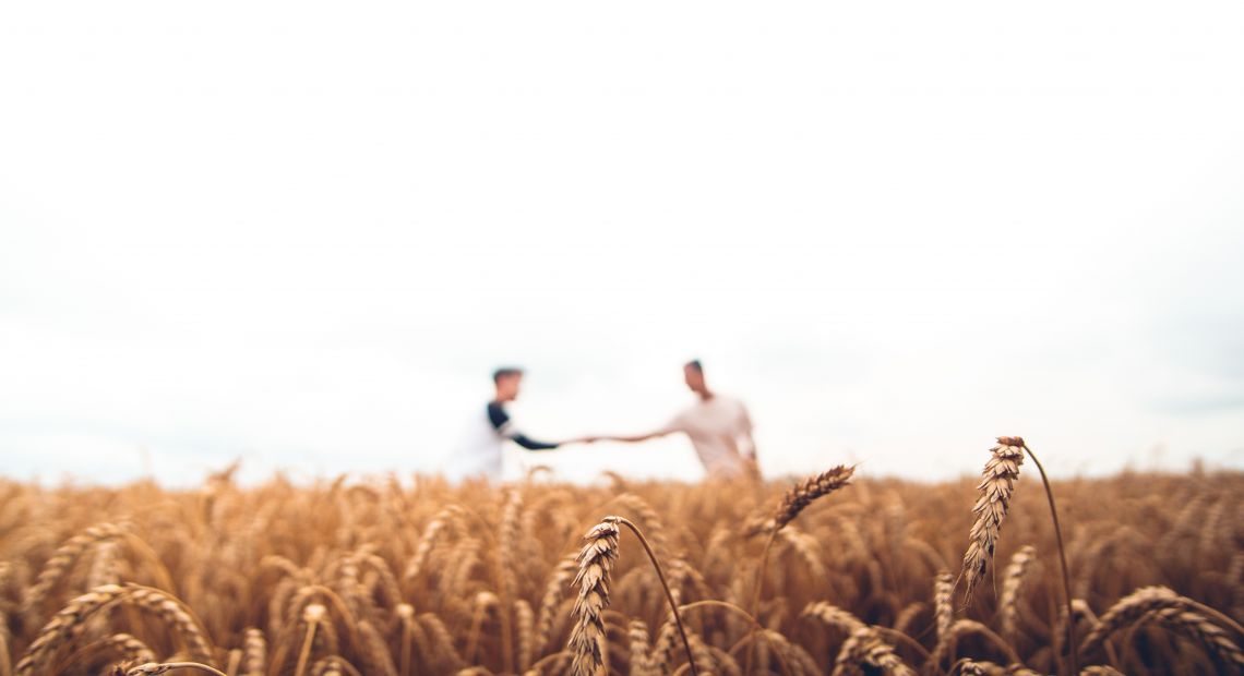 Two men shaking hands in the field