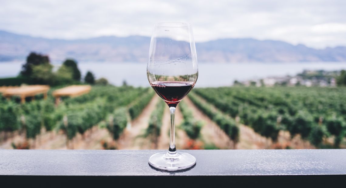 A Glass of wine on the background of wine yard