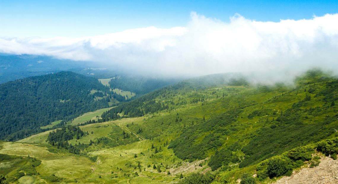 carpathian view