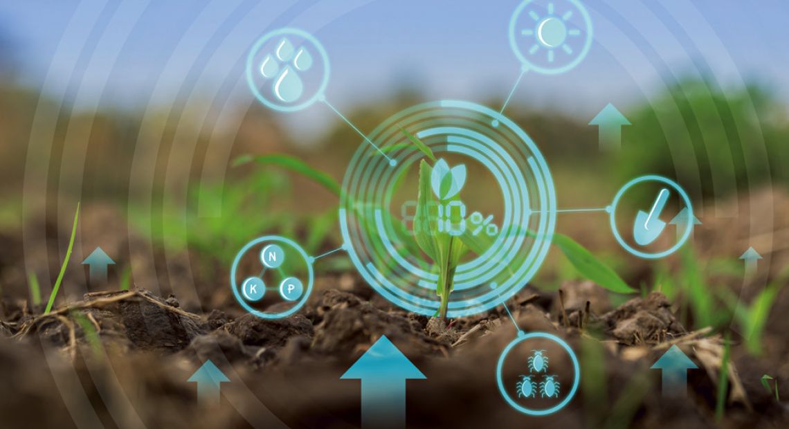 Investment in agriculture