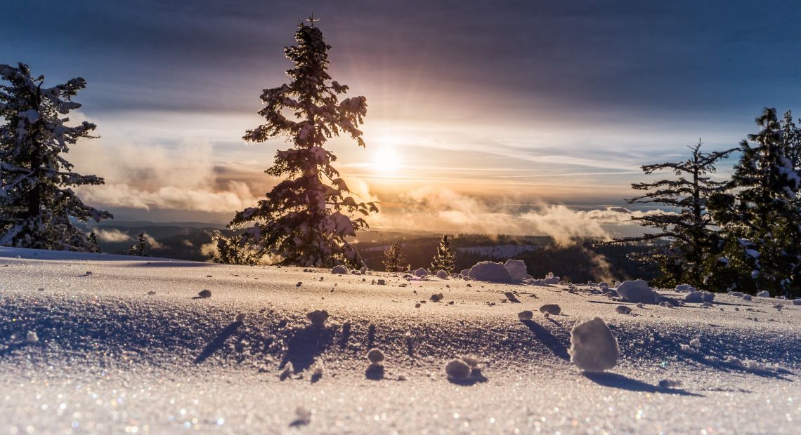 Mountains and forest in snow