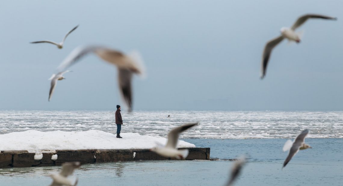Odesa sea shore