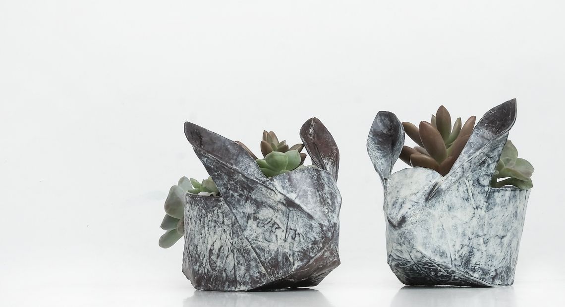 plant pots
