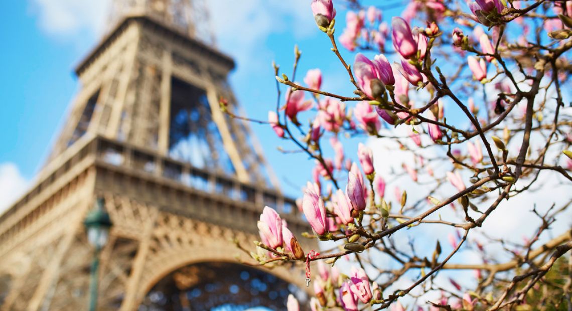 Spring in Paris