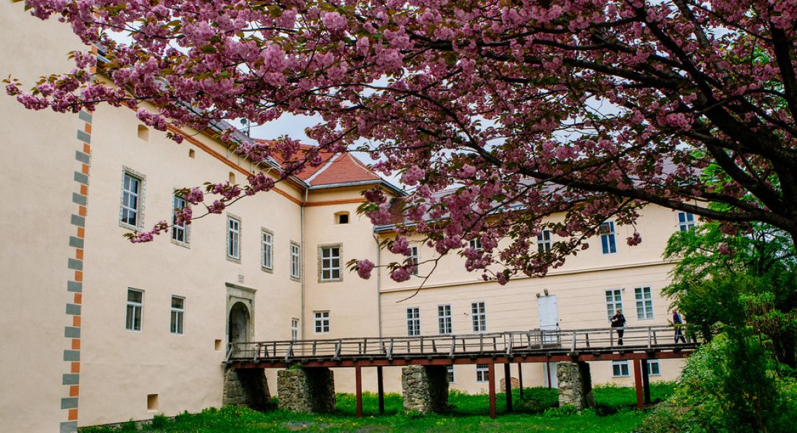Uzhhorod Castle