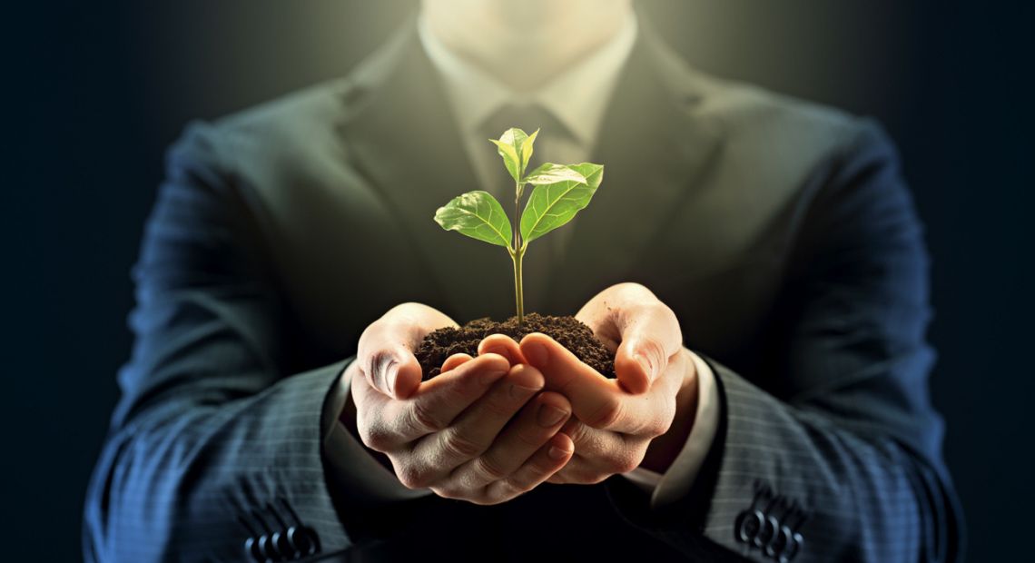Plant in hands