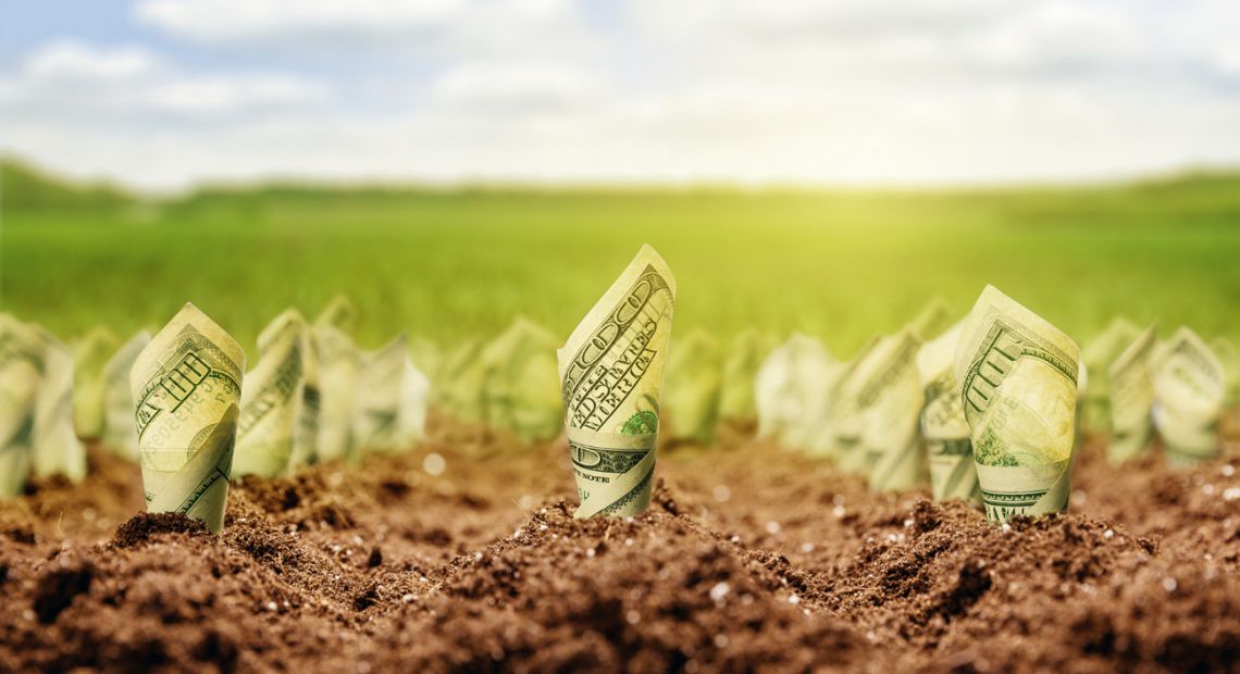 Money field