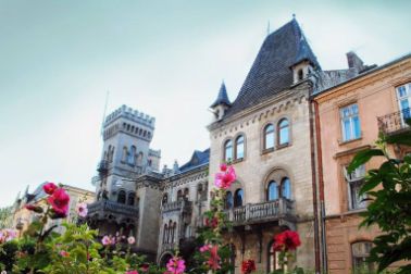 beautiful old houses with towers and garden with rose flowers