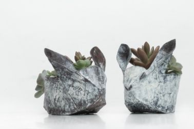 plant pots