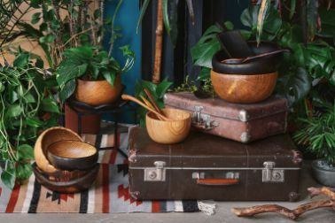 Urban Jungle