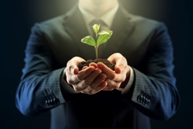 Plant in hands