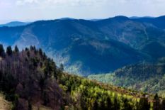 National Parks in Ukraine