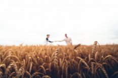 Two men shaking hands in the field