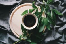 Coffee and plants