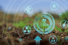 Investment in agriculture