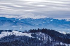 Carpathian Mountains