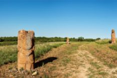 Ukrainian steppe