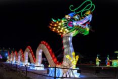 Chinese dragon lantern