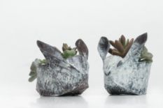 plant pots