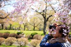 lady making photo