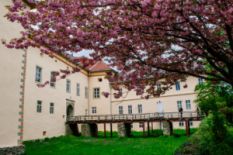 Uzhhorod Castle