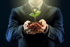 Plant in hands