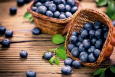 Blueberry
