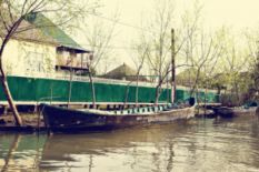 vylkovo