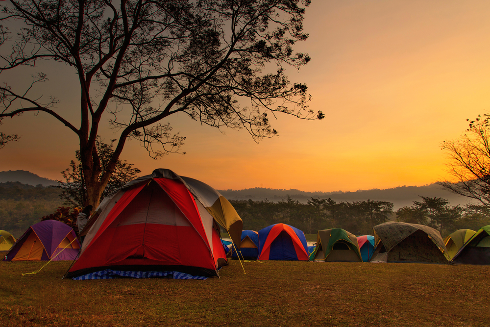Mesto Sily camping near Kyiv