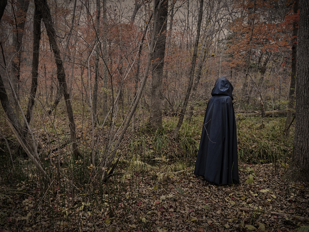 dark forest