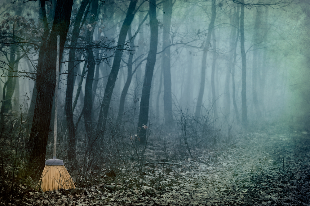 shutterstock 220133983