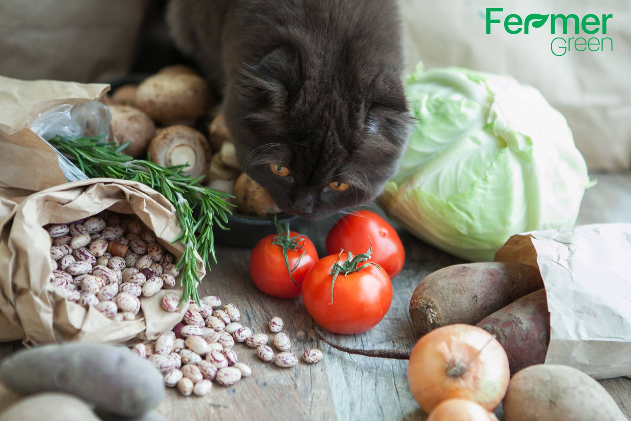 fresh vegetables and beans