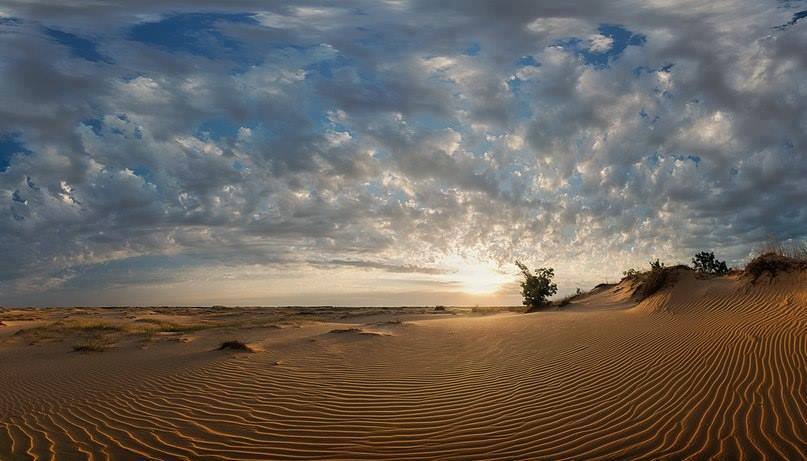 Oleshky sands in Ukraine