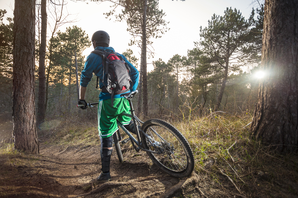 Cycling in a forest 