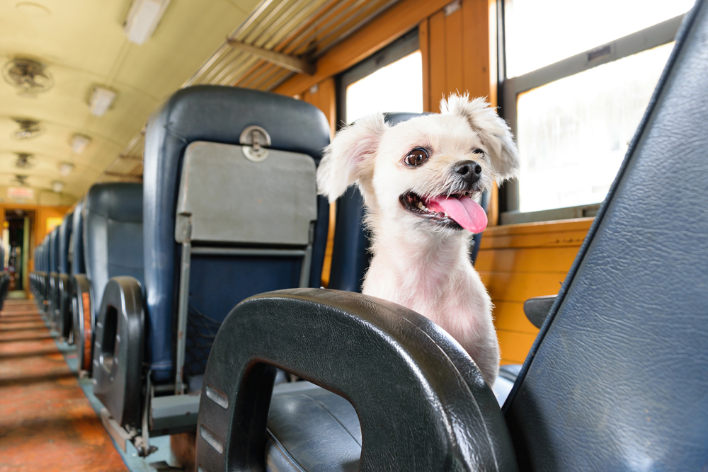 shutterstock 346248533