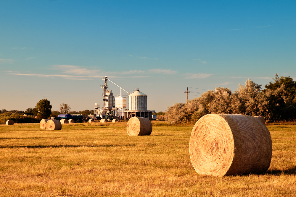 farm company