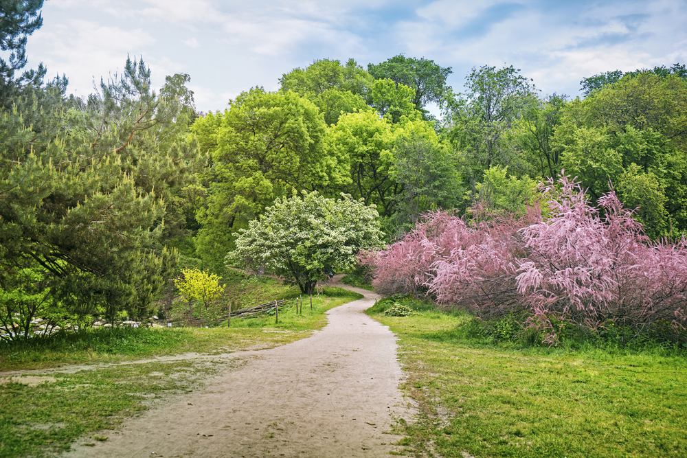 hryshko