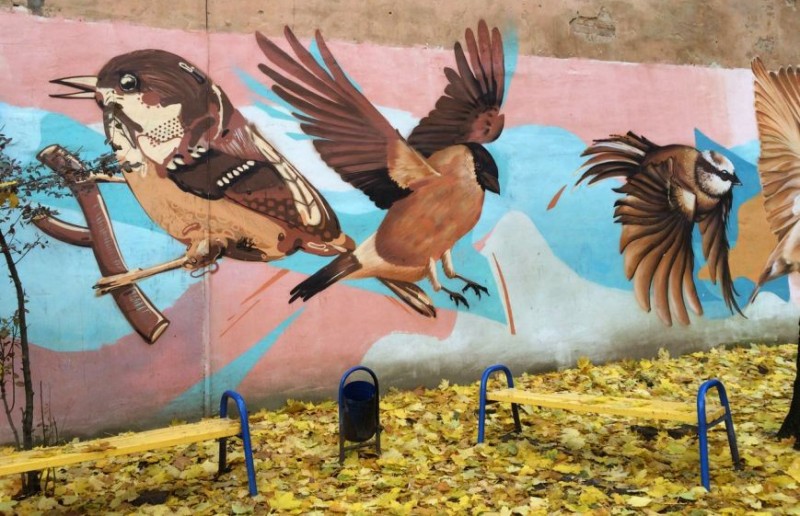 birds
