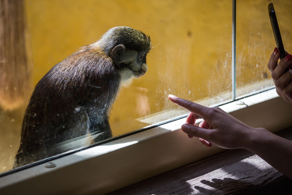 zoo