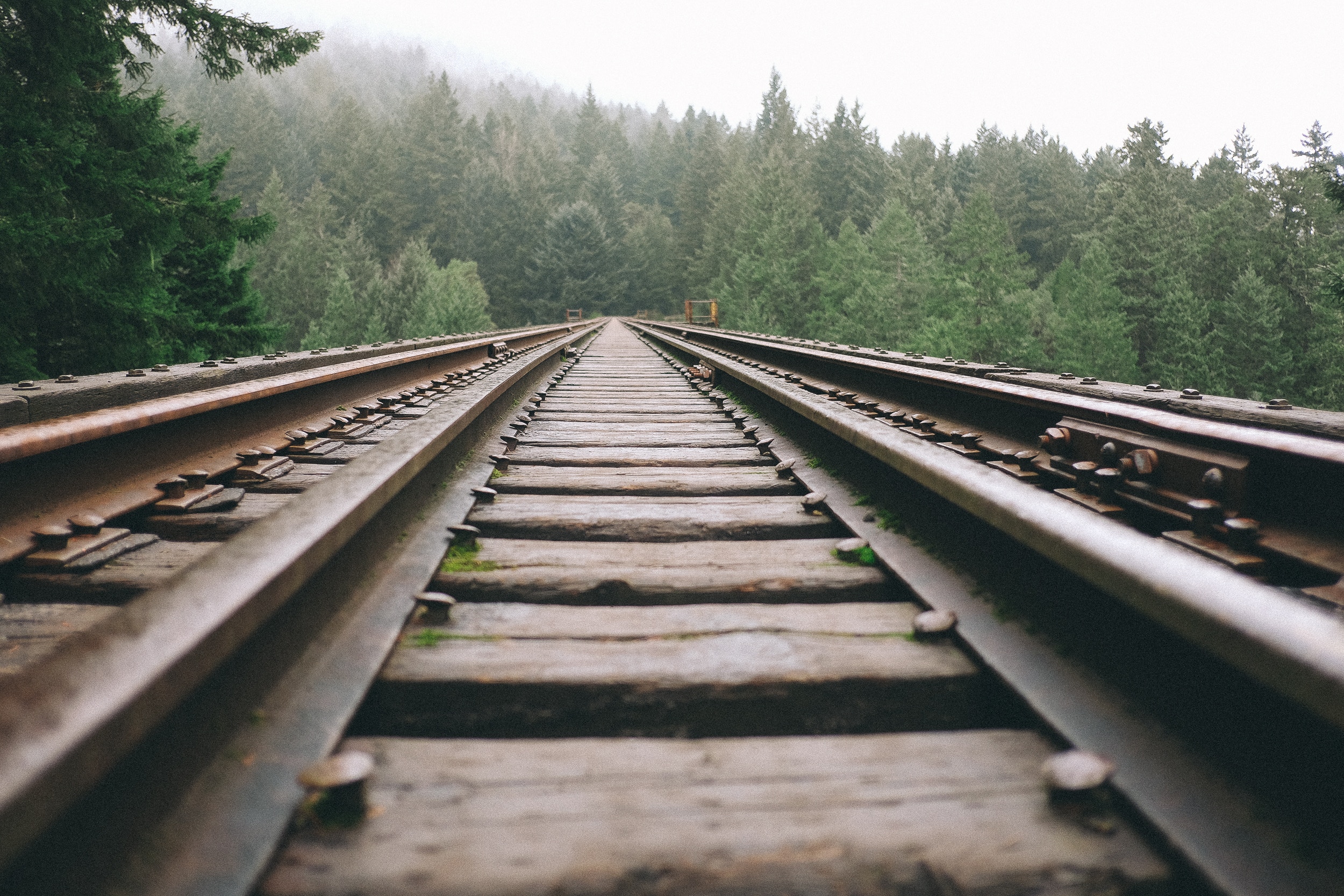 paul jarvis 14119 unsplash