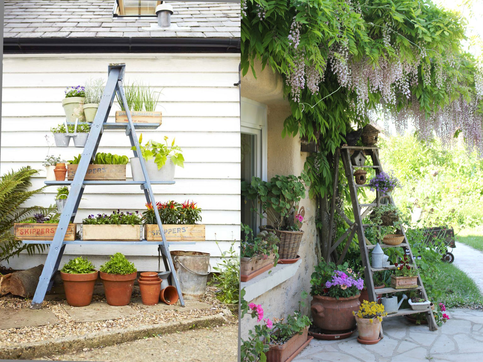 ladder